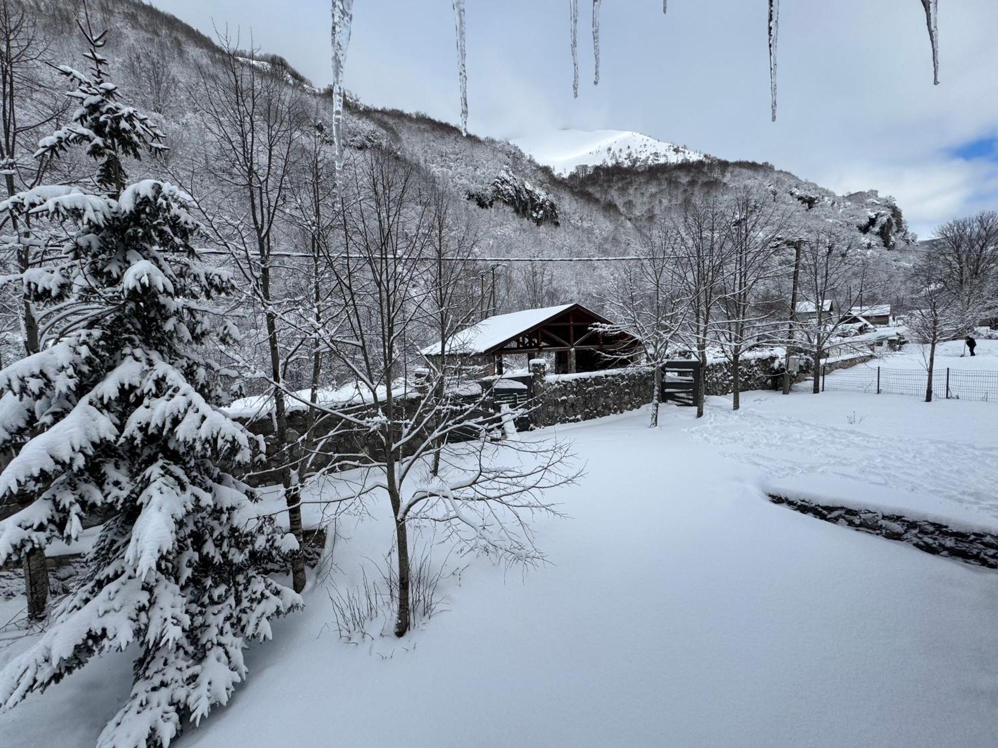 Villa Biocinovici Vikendica Kolašin Exterior foto